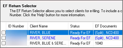 Image showing MFJ federal with split state returns in the EF Return Selector.